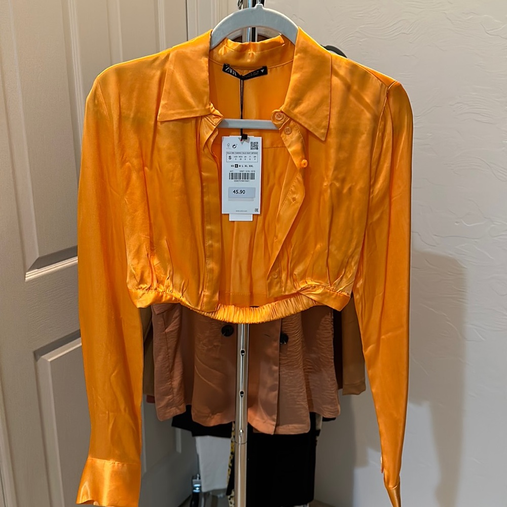 Zara crop long sleeve top